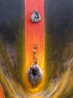 /album/galleria-foto-opere-di-pittura/1a-0418-metamorfosi-ancestrale-della-materia-particolare-jpg/